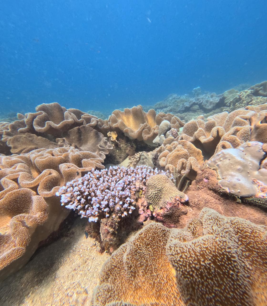 Diving adventure scene 7